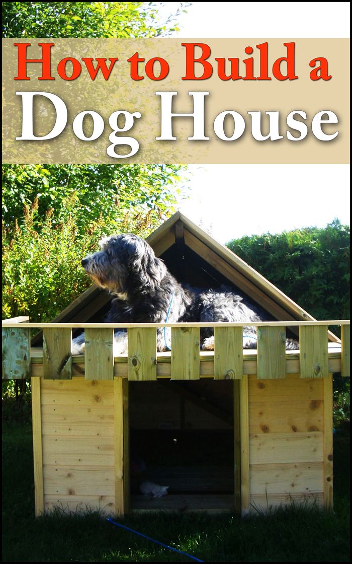 How To Build Dog House