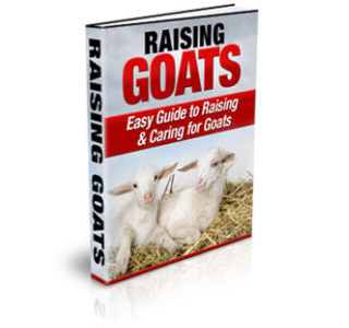 Raising Goats