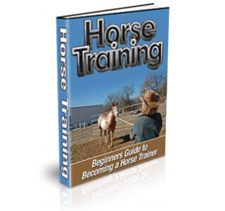 Horse Training