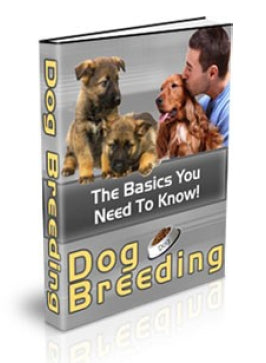 Dog Breeding