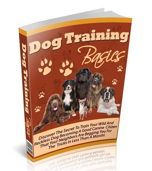 Dog Training Basics