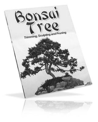 Bonsai Tree