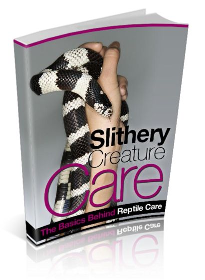 Silthery Creature Care