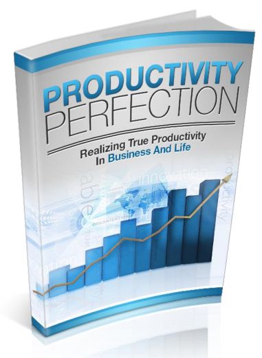 Productivity Perfection